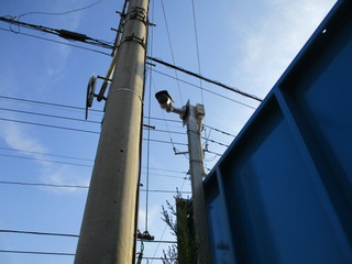 IMG_3979q.jpg