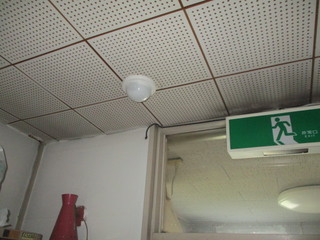 IMG_4051q.jpg