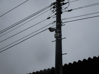 IMG_0652q.jpgのサムネール画像