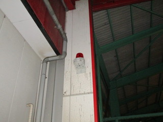 IMG_4394q.jpg