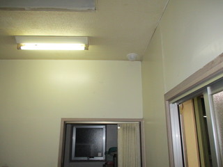 IMG_4402q.jpg