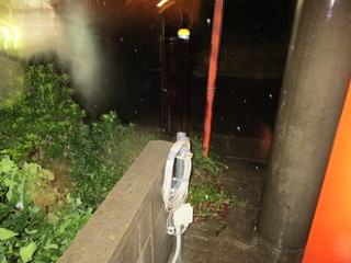 IMG_4420q.jpg