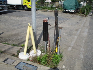 IMG_0815q.jpg