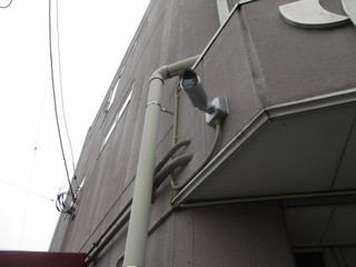 IMG_0911q.jpg