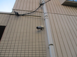 IMG_4564q.JPG