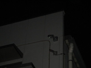 IMG_4598q.JPG