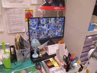 IMG_1013q.JPG