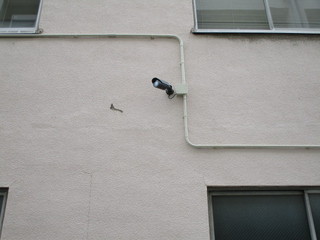 IMG_4633q.JPG