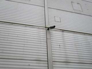 IMG_4636q.JPG