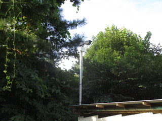 IMG_1193q.JPG