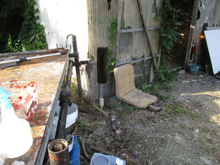 IMG_1194q.JPG