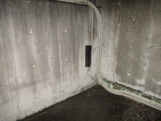 IMG_1202q.JPG