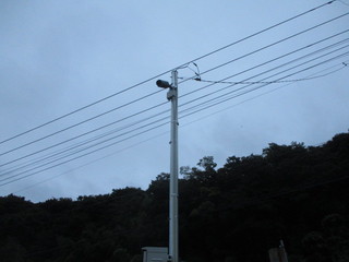 IMG_1208q.JPG