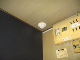 IMG_1360q.JPG