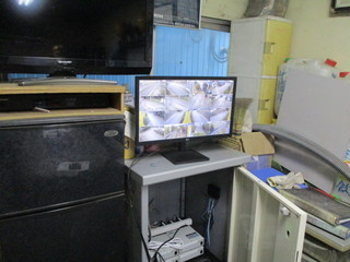 IMG_4971q.JPG