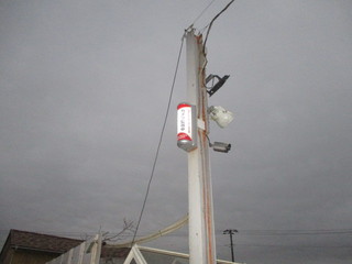 IMG_1450q.JPG