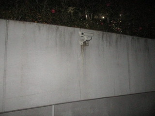 IMG_1500q.JPG