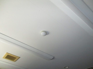 IMG_1503q.JPG