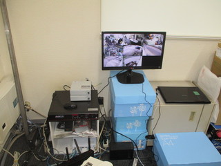 IMG_5105q.JPG