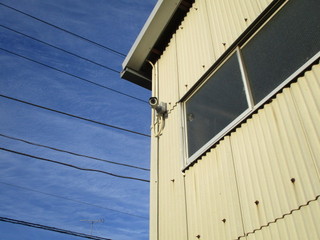 IMG_5131q.JPG