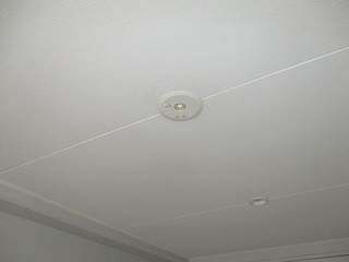 IMG_1541q.JPG
