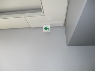 IMG_1542q.JPG