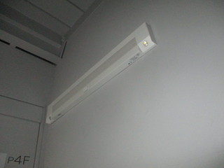 IMG_1553q.JPG