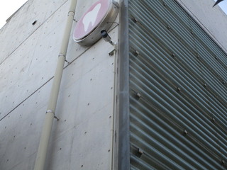IMG_1568q.JPG
