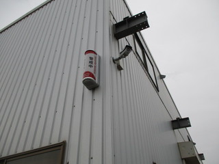 IMG_5430q.JPG