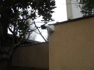 IMG_1766q.JPG