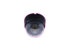 ドームカメラ DOME CAMERA